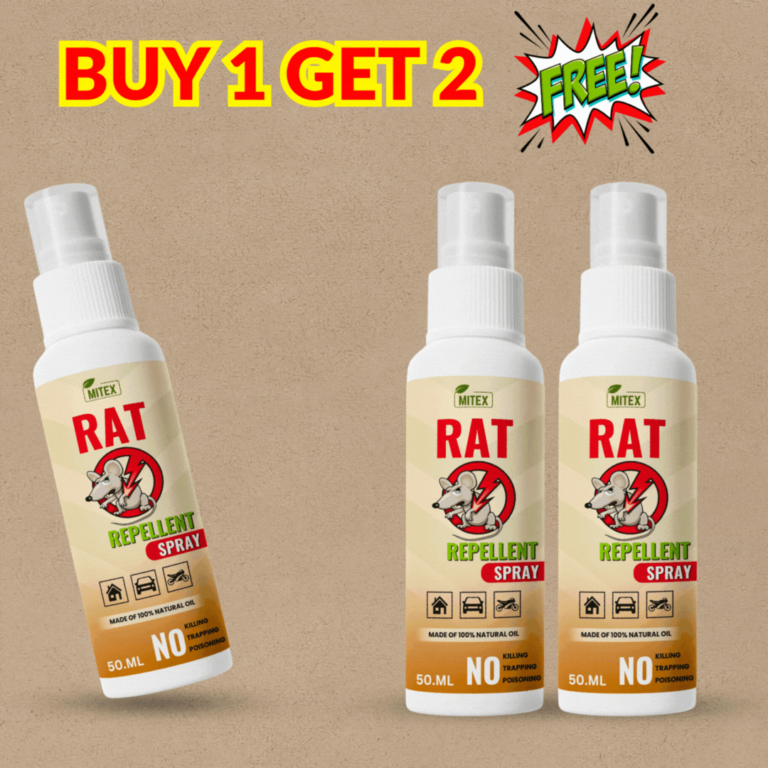 Rat Repellent Spray – Safe, Effective, and Eco-friendly.
