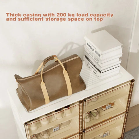 Multipurpose Footwear Shoe Rack Stand for Home